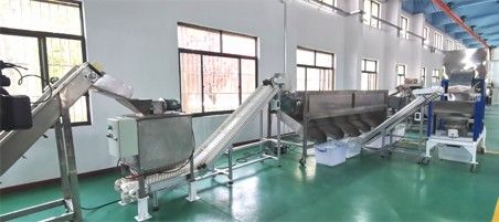 核桃去青皮清洗、提升機(jī)